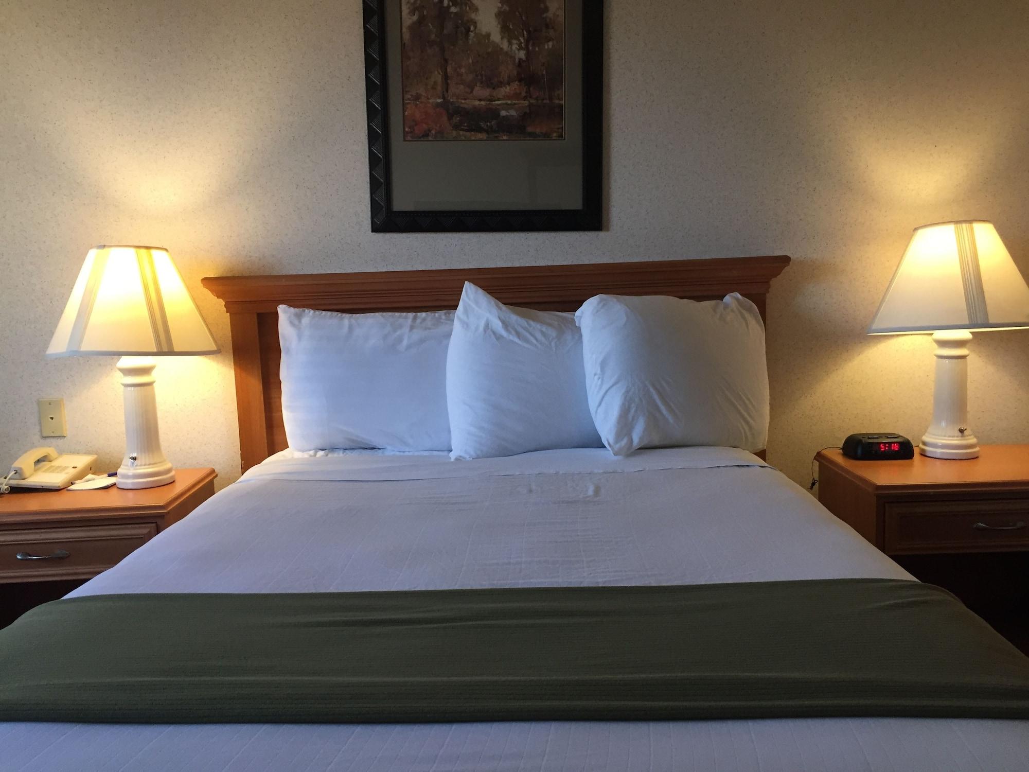 Quality Inn & Suites ווילוס מראה חיצוני תמונה